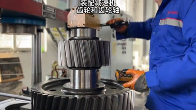 泰工减速机装配齿轮和齿轮轴